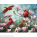North American Song Birds 4-in-1 Puzzle Pack B07B4MVLP4